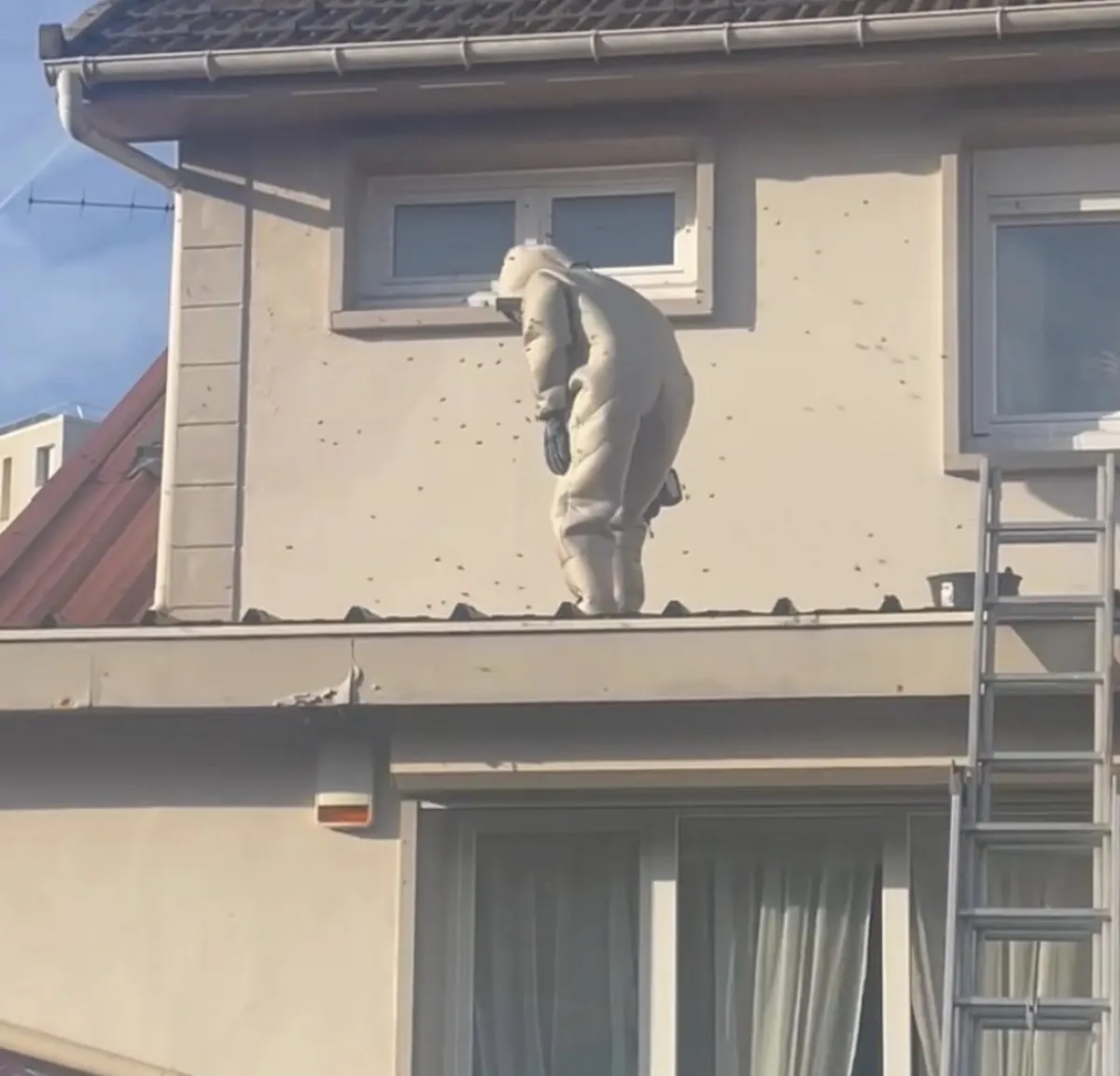 Traitement nid de guêpes en façade